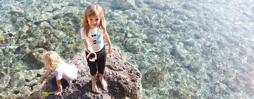Amazing Springtime Ocean Facts to Share with Your Kids